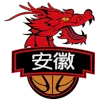 Logo Anhui Wenyi